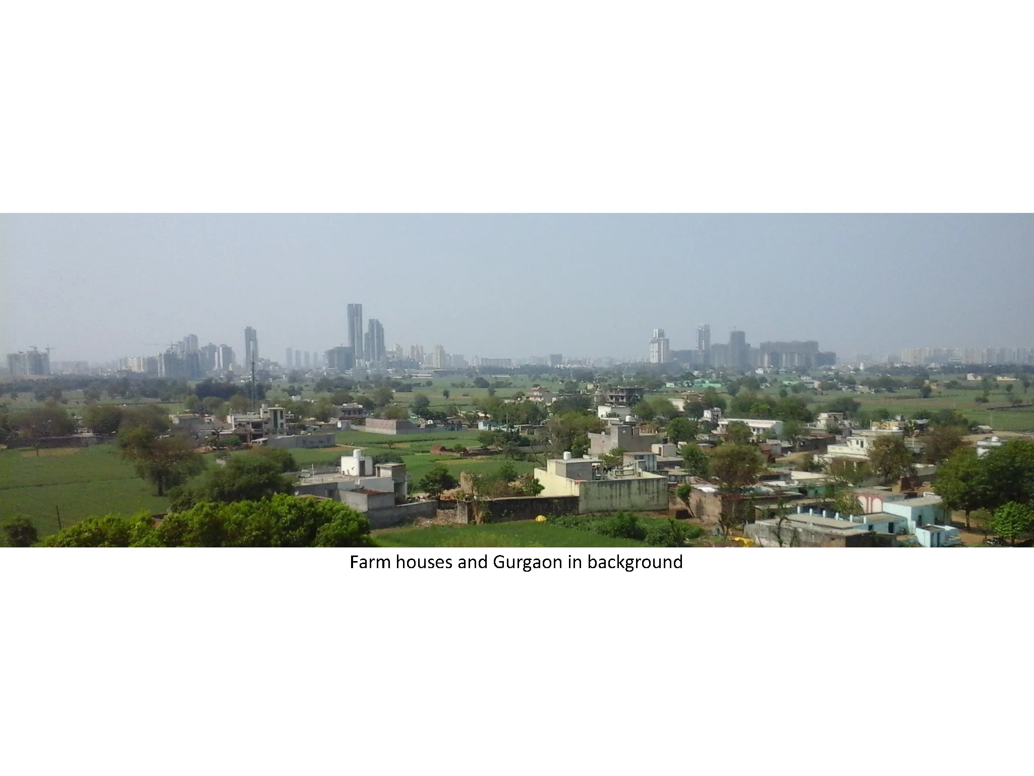 Ferme organique Awarenest, Gurgaon, New Delhi (Inde) — vue 1