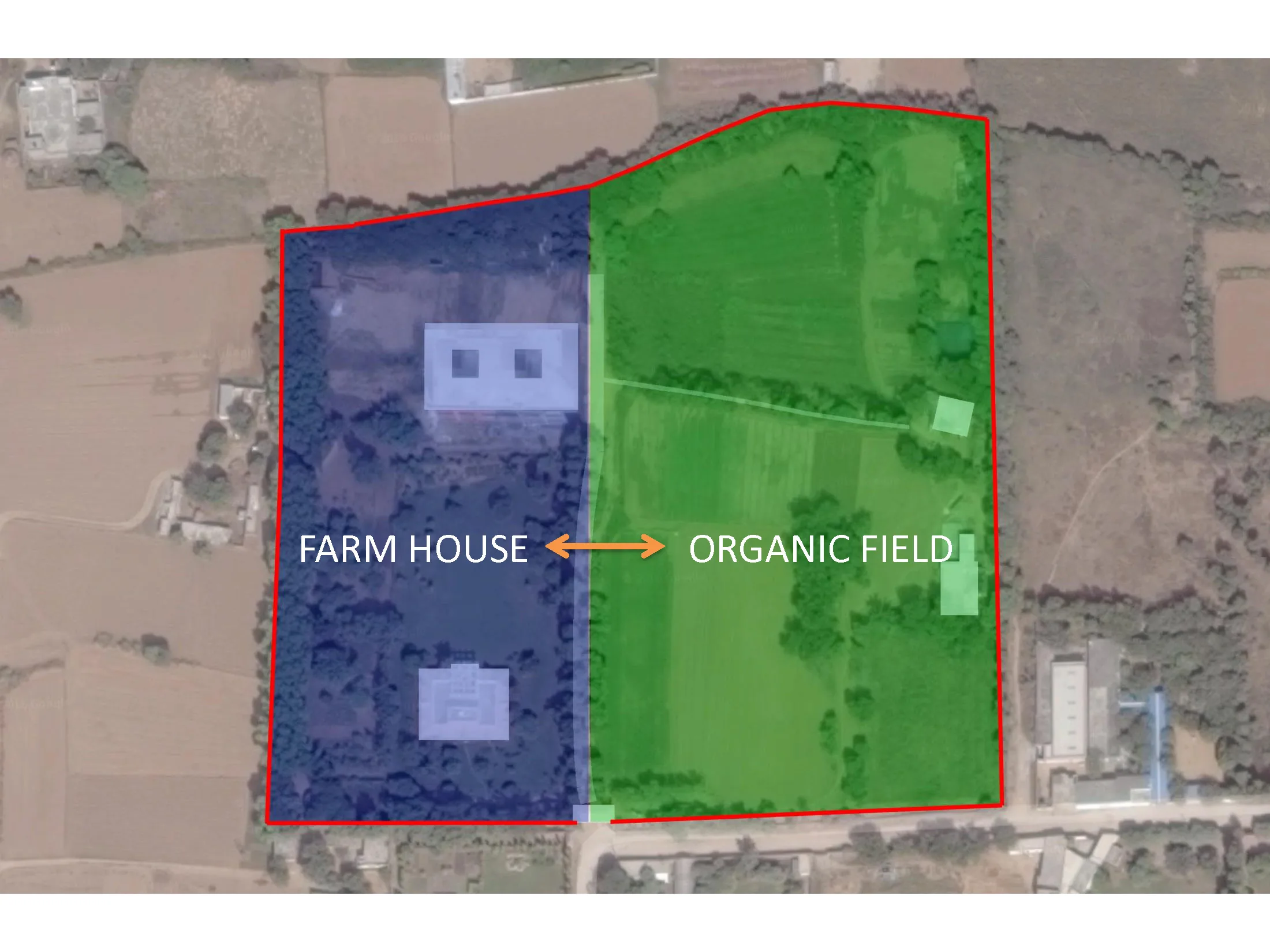Ferme organique Awarenest, Gurgaon, New Delhi (Inde) — vue 4