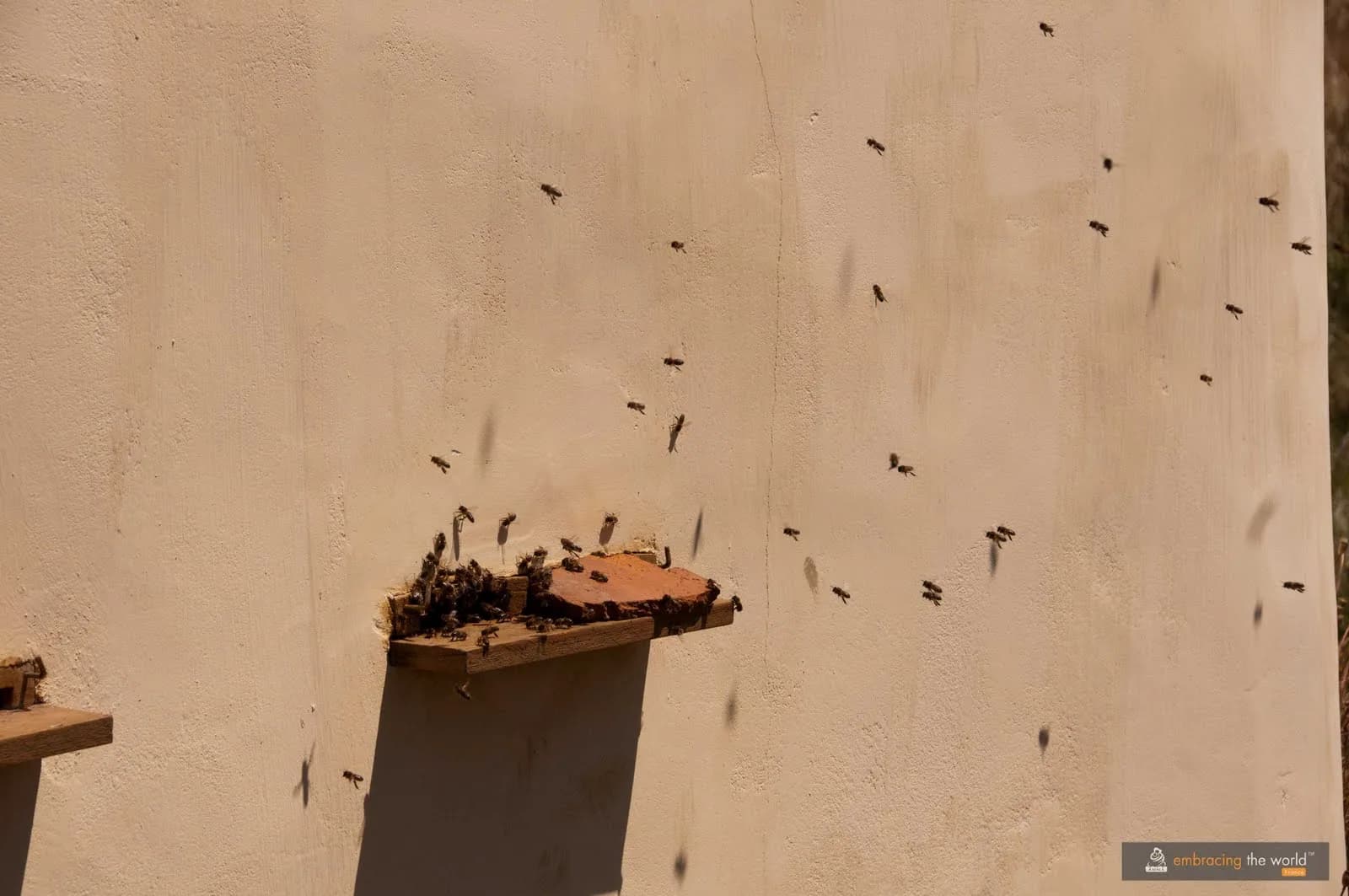 Sanctuaire des abeilles, Eure-et-Loir — vue 8